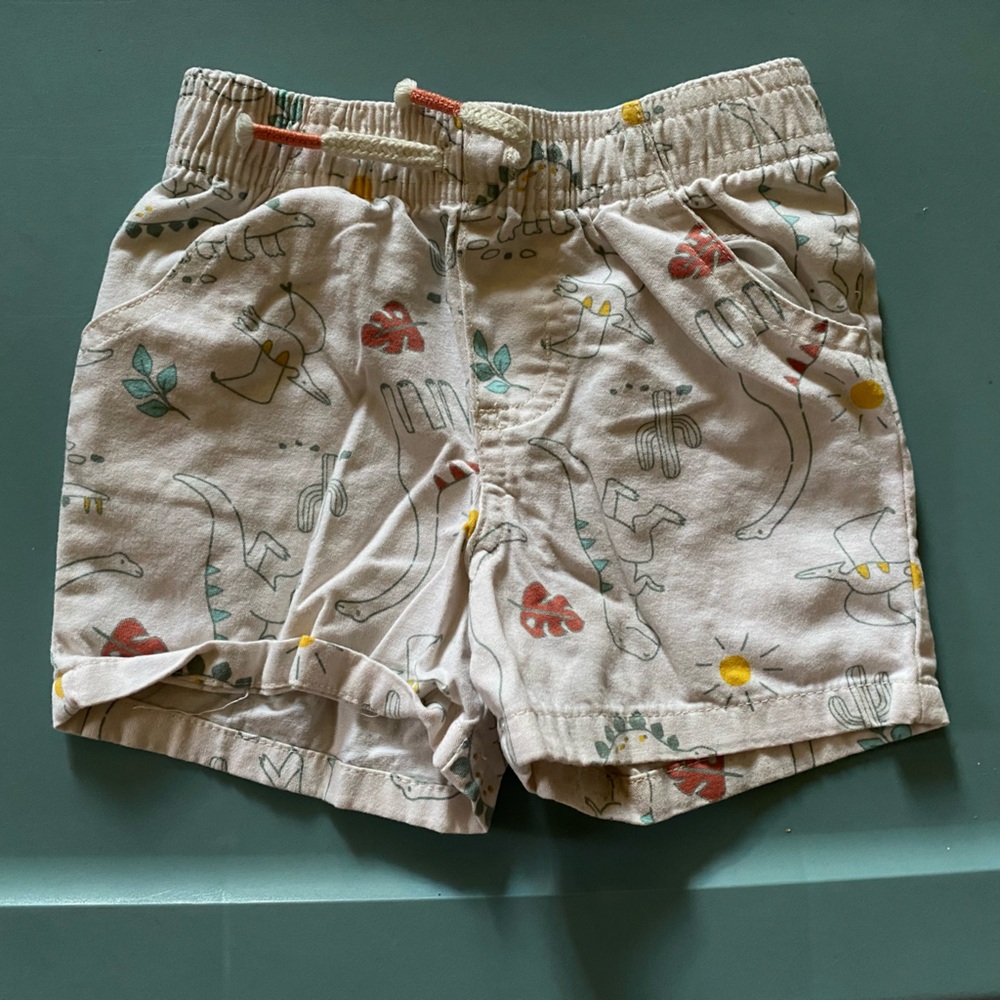 Dinosaur Shorts